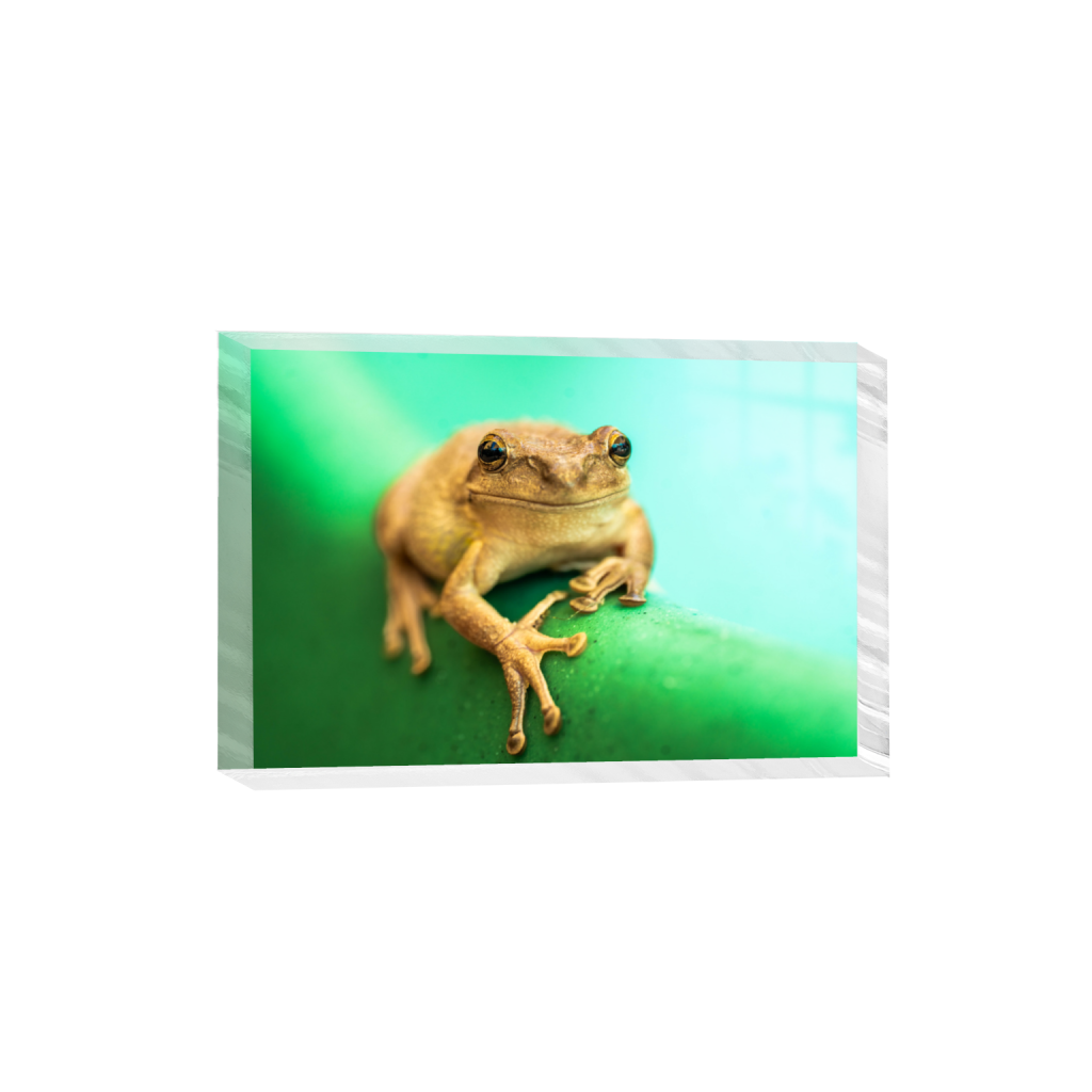 ptq_300_3_0_1_7894_5262_0_false_ffffff_0_0_.png