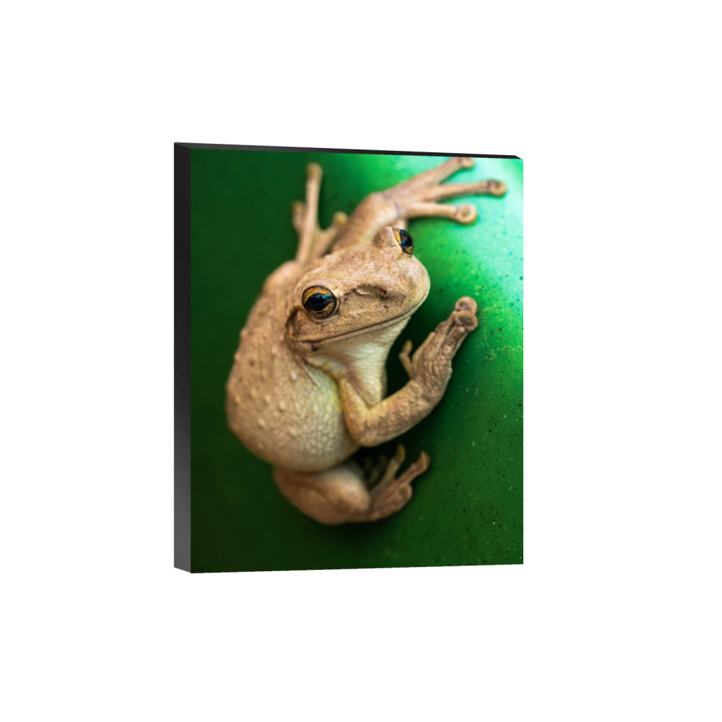 ptq_32_6_0_661_5304_6630_0_false_ffffff_0_0_.png