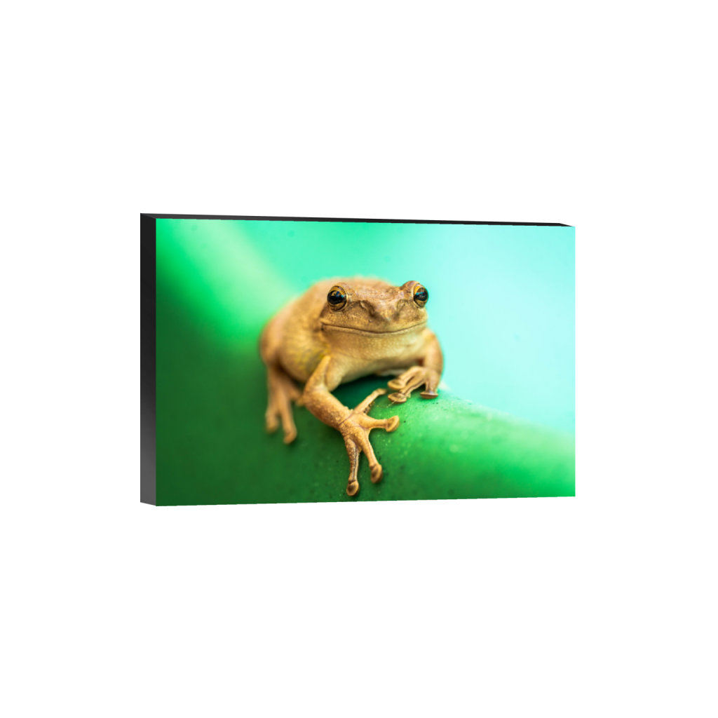 ptq_32_3_0_1_7894_5262_0_false_ffffff_0_0_.png