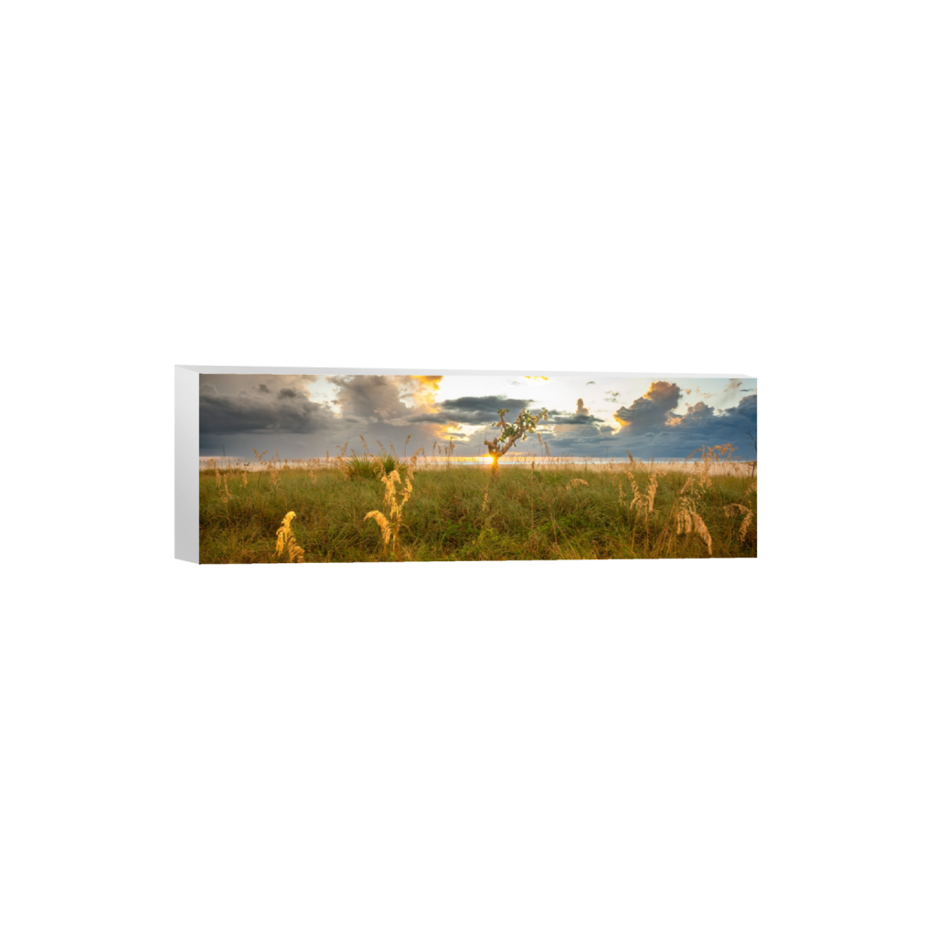 ptq_7_2_0_1283_7725_2575_0_false_ffffff_0_0_.png