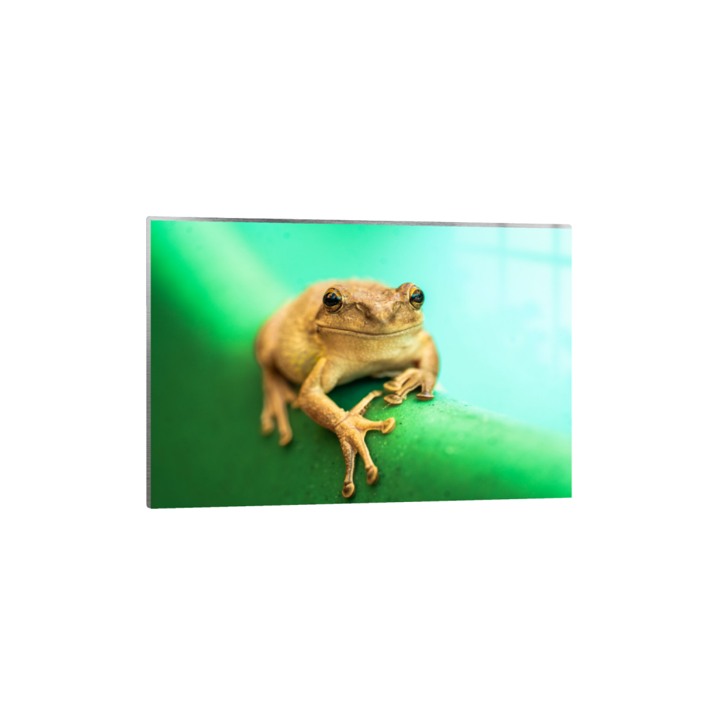 ptq_13_3_0_1_7894_5262_0_false_ffffff_0_0_.png