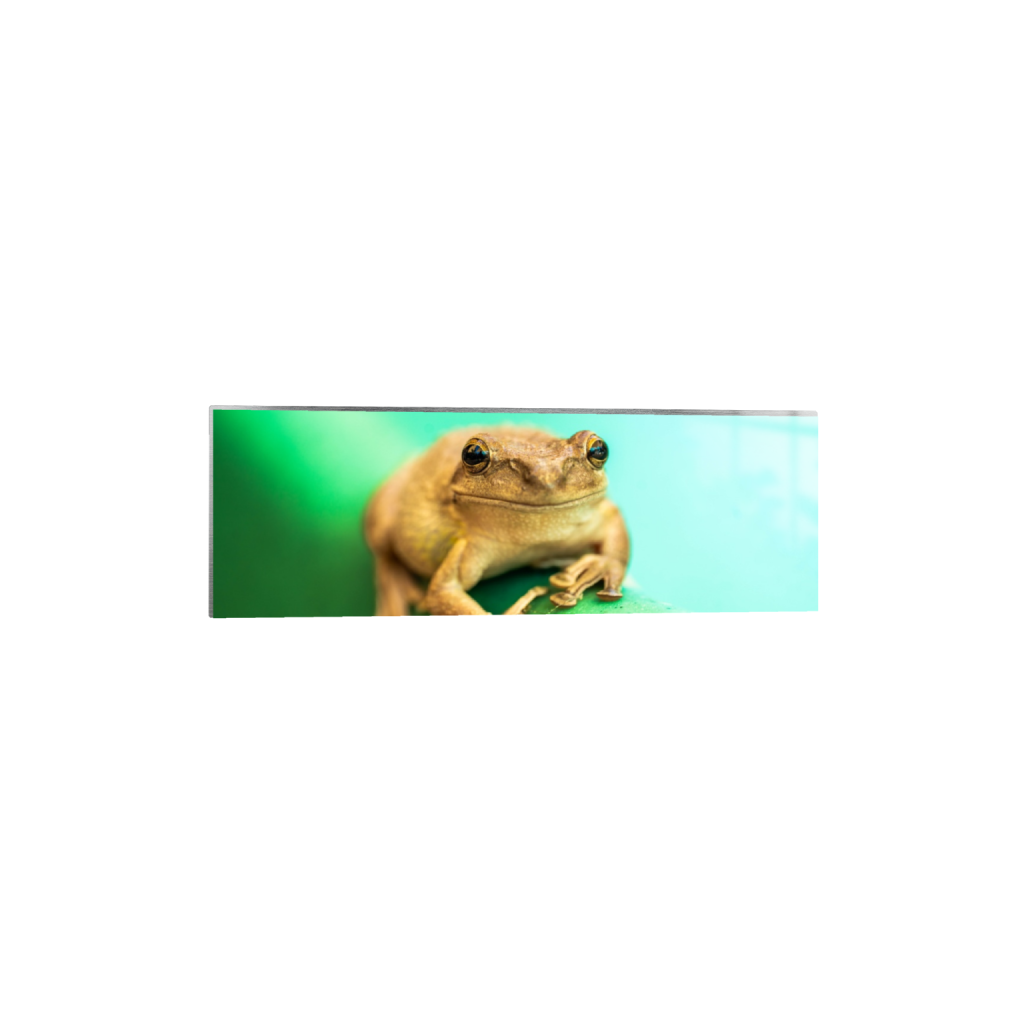 ptq_13_2_0_868_7894_2631_0_false_ffffff_0_0_.png