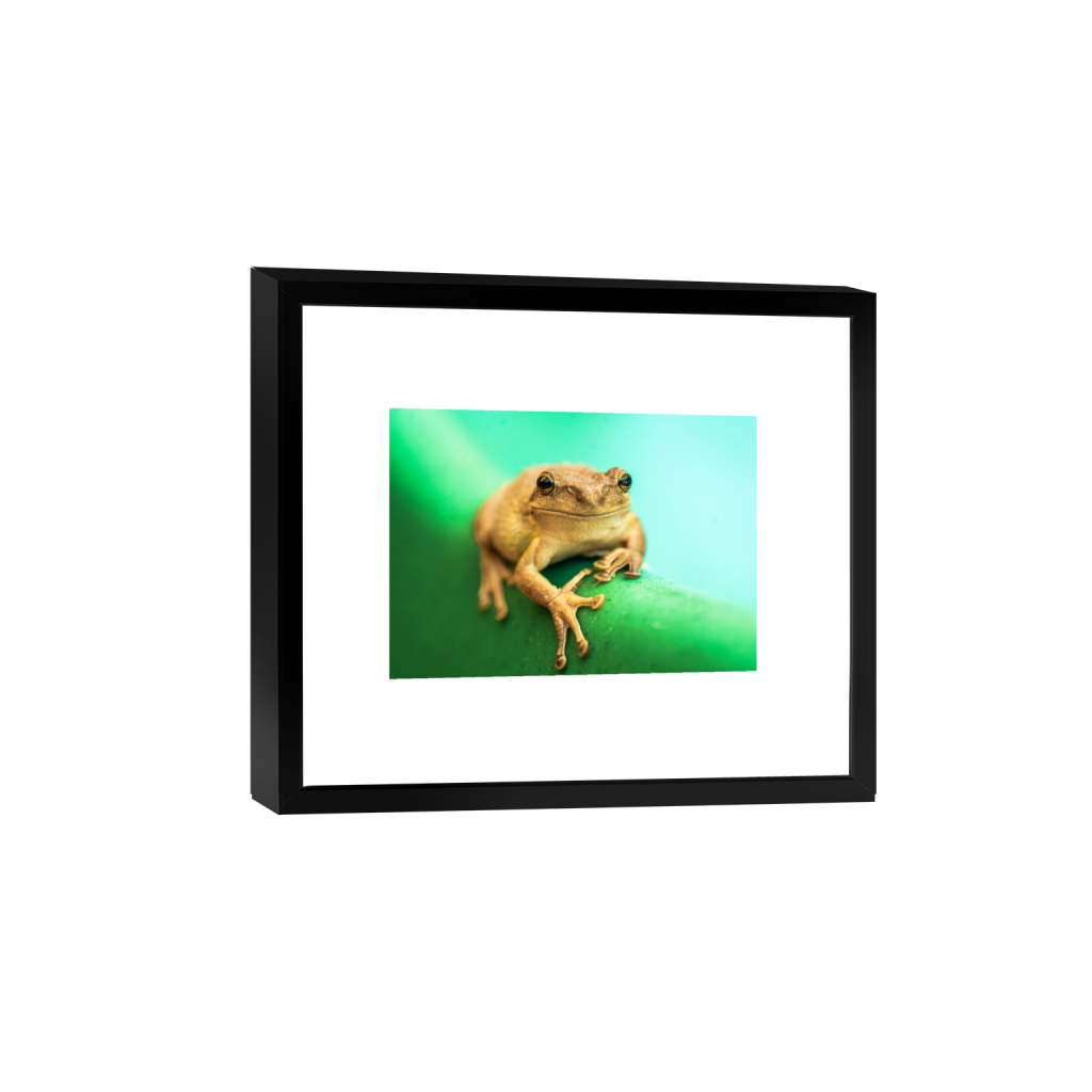 ptq_45_7_261_0_7371_5265_0_false_ffffff_0_0_.png