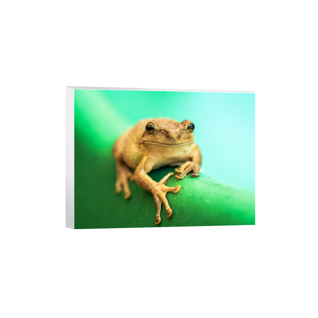ptq_7_5_437_0_7020_5265_0_false_ffffff_0_0_.png