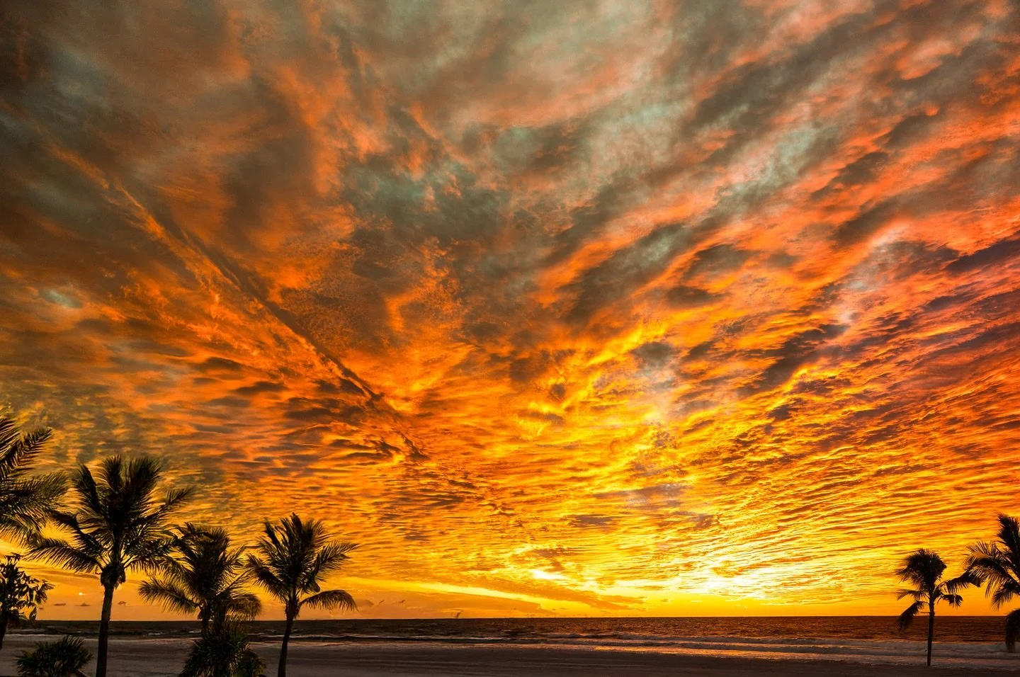 Last photo on my camera taken in 2025