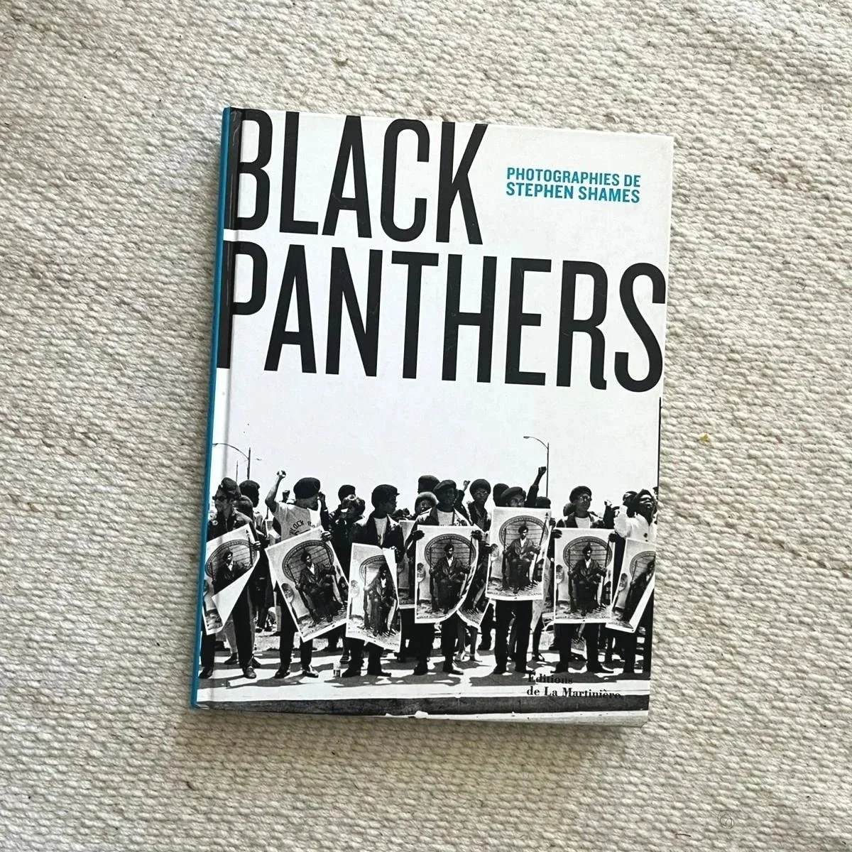 Livre%2Bblack%2Bpanthers.jpg