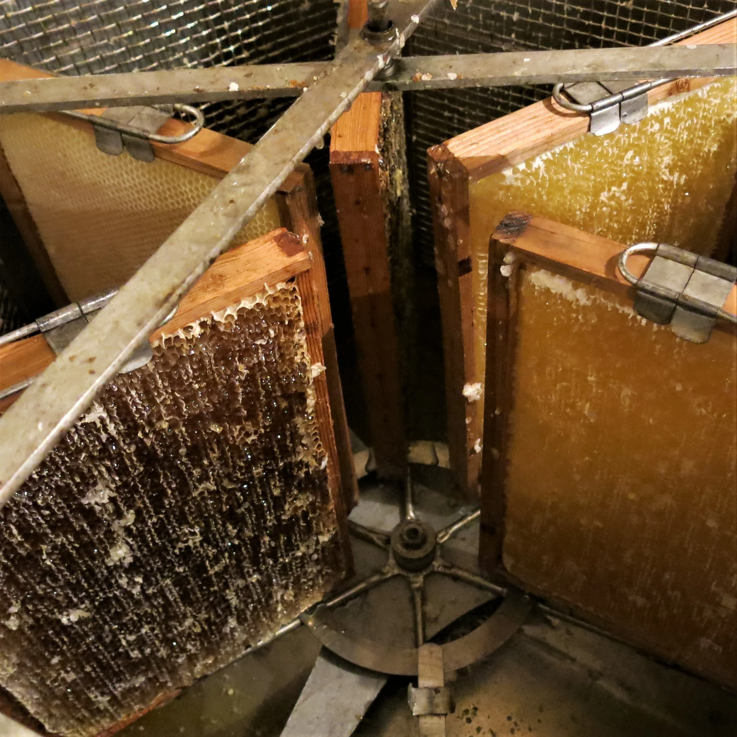 Rammer i slynge kvadrat.jpg