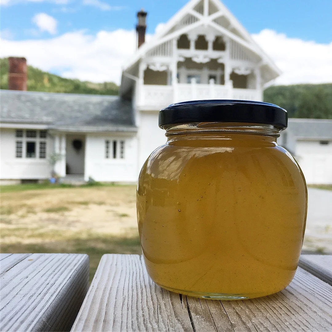 Glass foran hallingstue.JPG