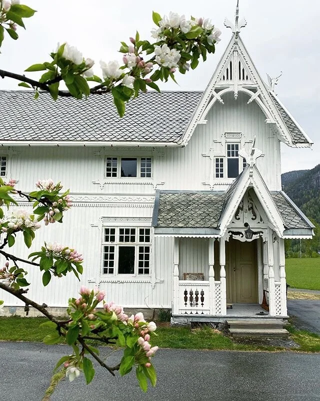 Endelig regn😊🌧 Innev&aelig;r i helgen gj&oslash;r beitene til dyra gr&oslash;nne og frodige 🌿 ☘️ 🌱