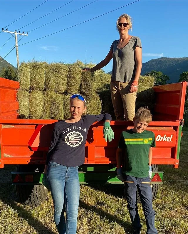 Hele familien i sving😅 #norgetrengerbonden #komhit #hallingdal