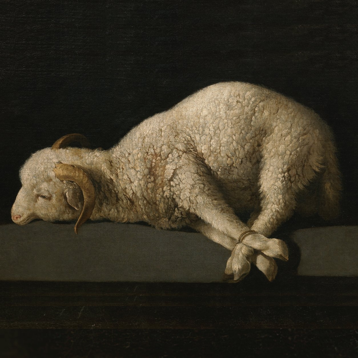 Agnus Dei - Zurbarán sq.jpg