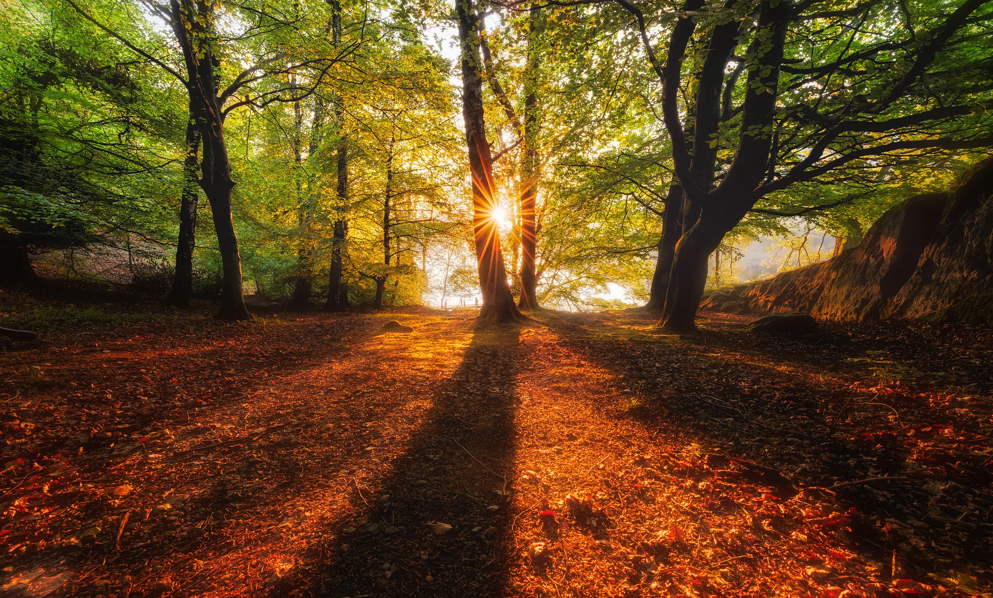 Mosedale Sunburst 2048.jpg