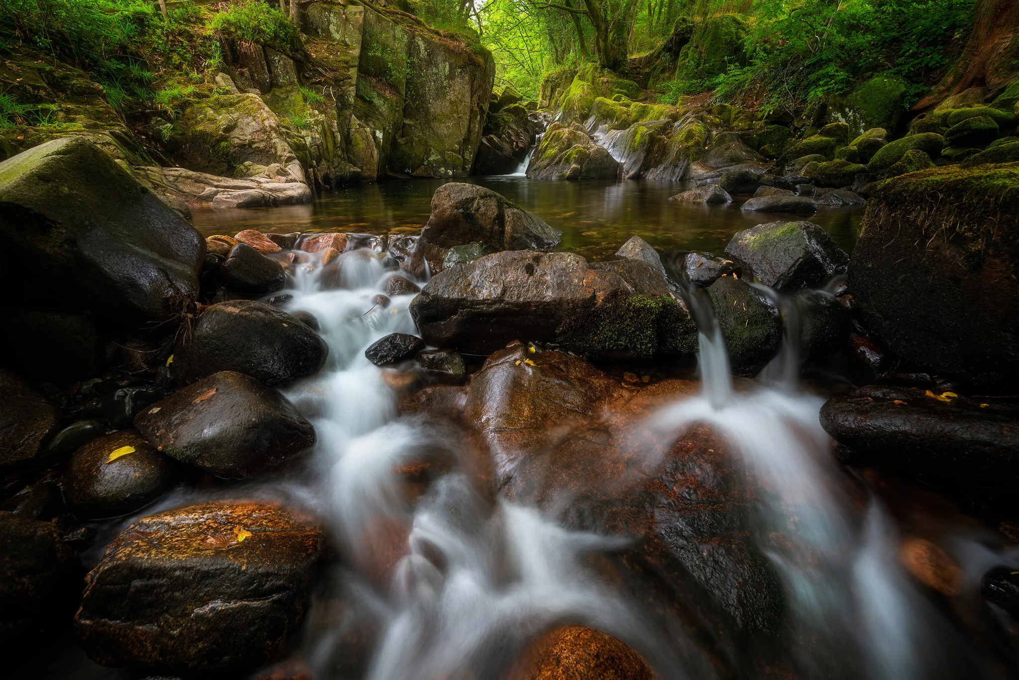 Boot mill woods 2048.jpg