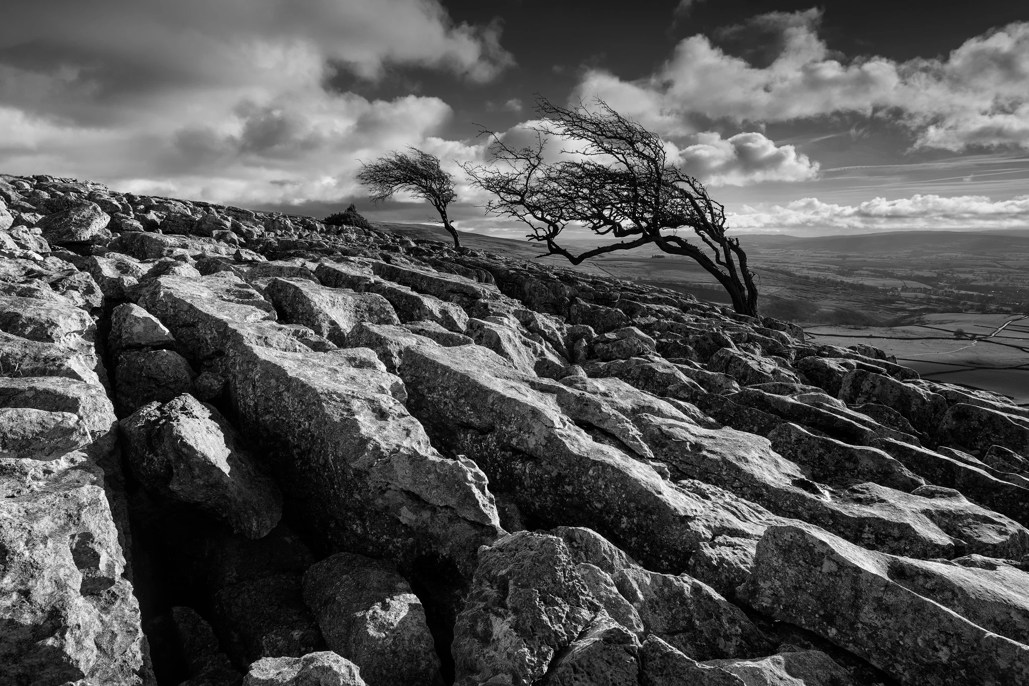 Twistleton windblown trees 2048.jpg