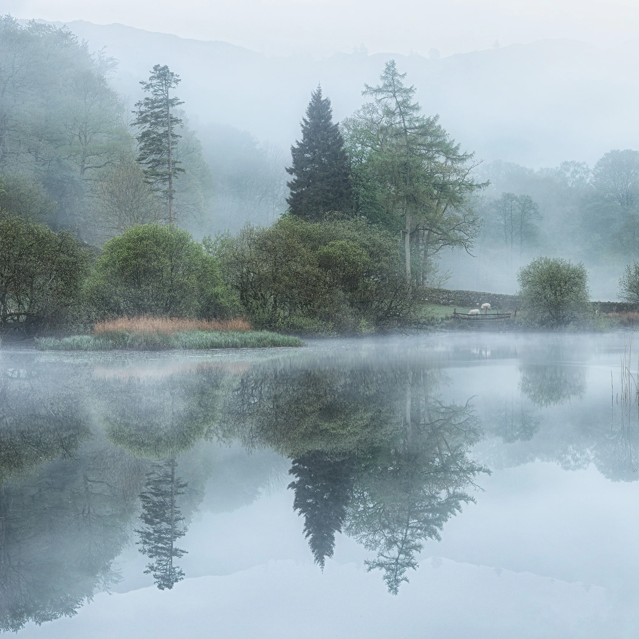 River Brathay square 2048.jpg