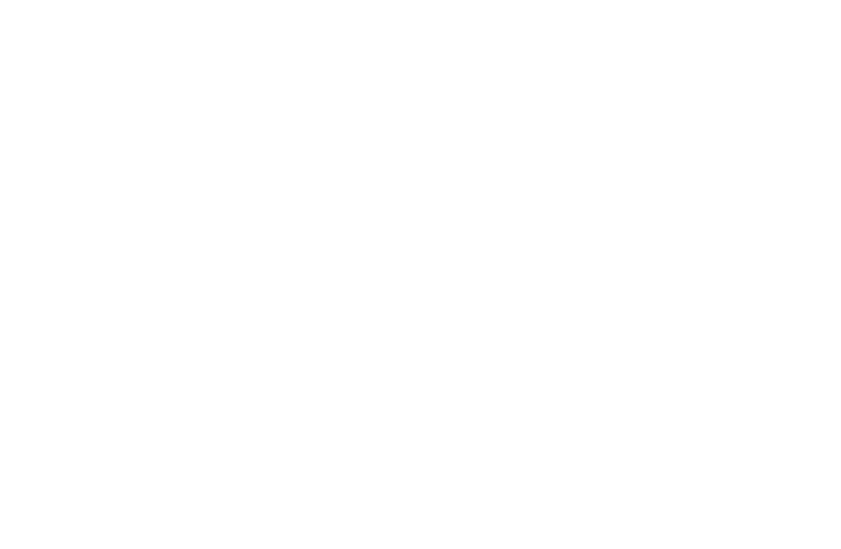 ANNEKE MIGGIELS