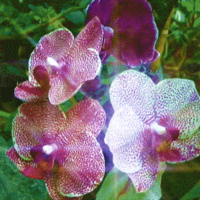 Reframing Taurus: Respecting the Wisdom of the Body.