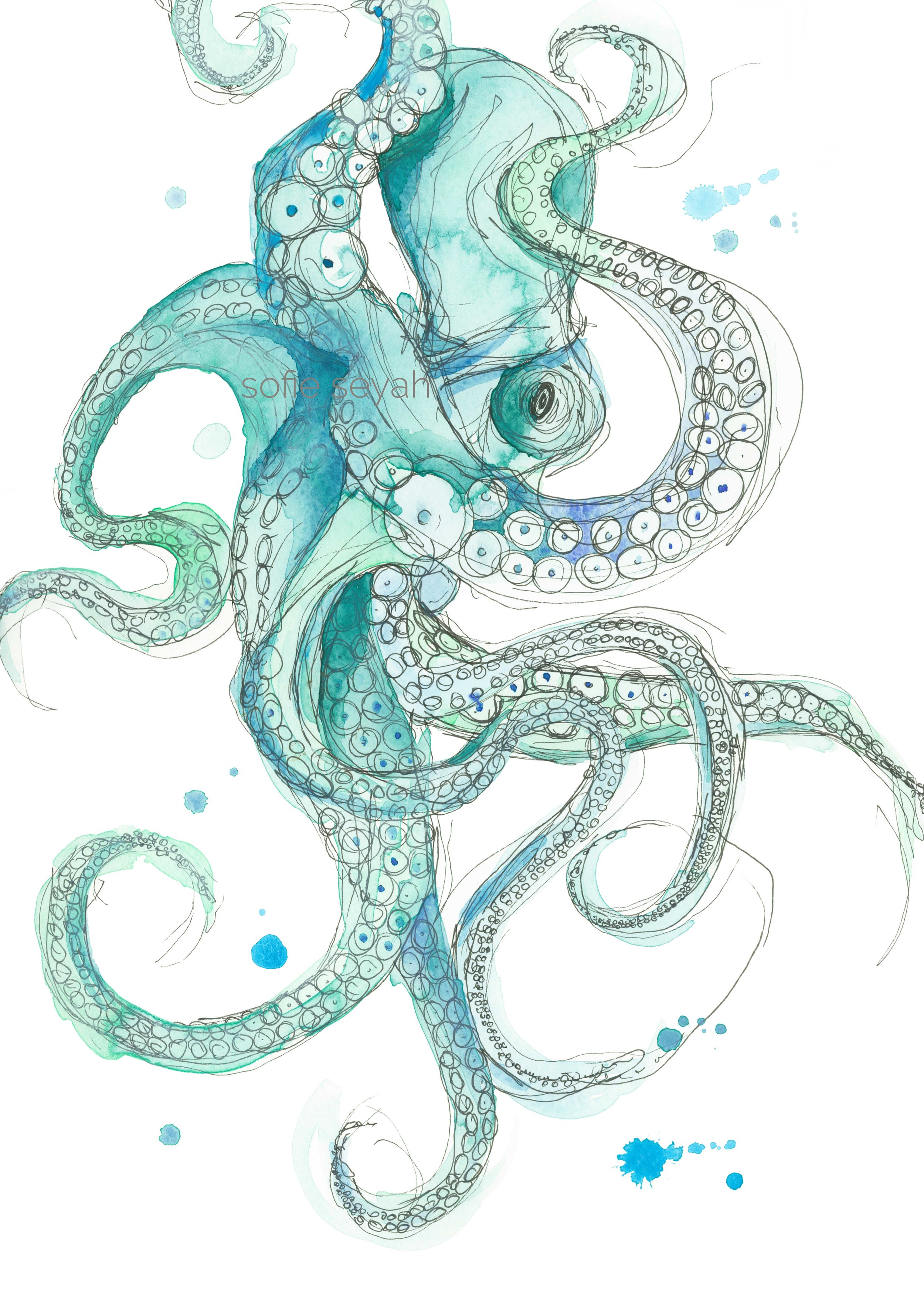 Señor Octopus Watercolour Art Print — Sofie Seyah Illustration