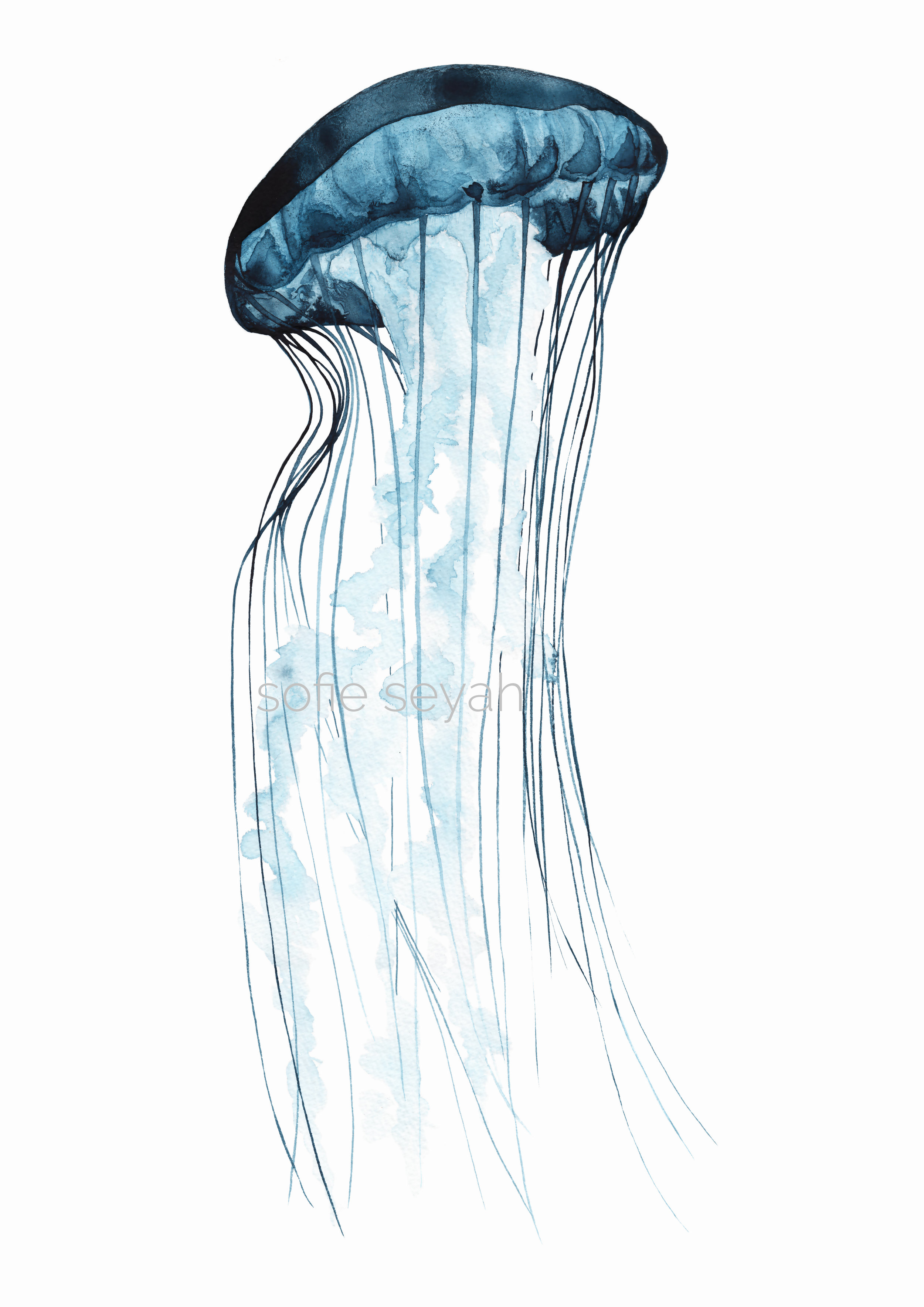 Watercolour Jellyfish Art Print Sofie Seyah Illustration