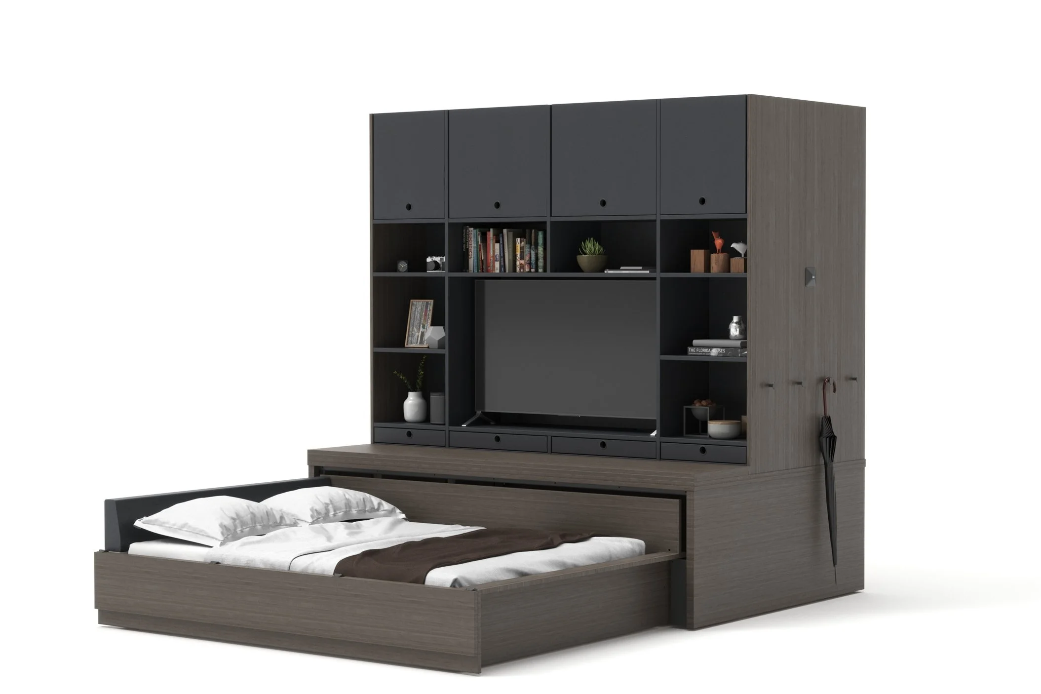 Reverse Configuration, bed opens to living room side