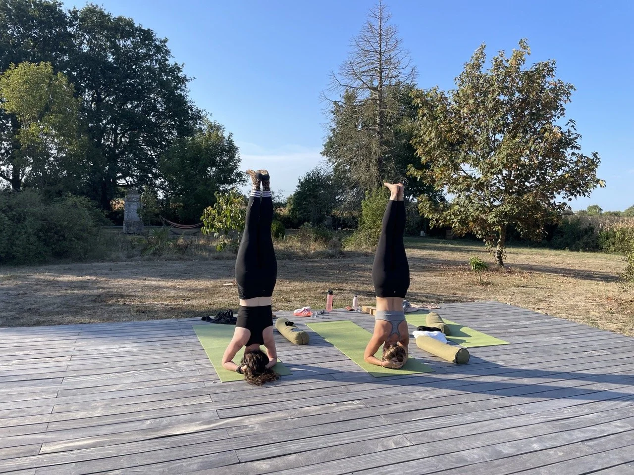 Groß (IMG_6657).jpeg