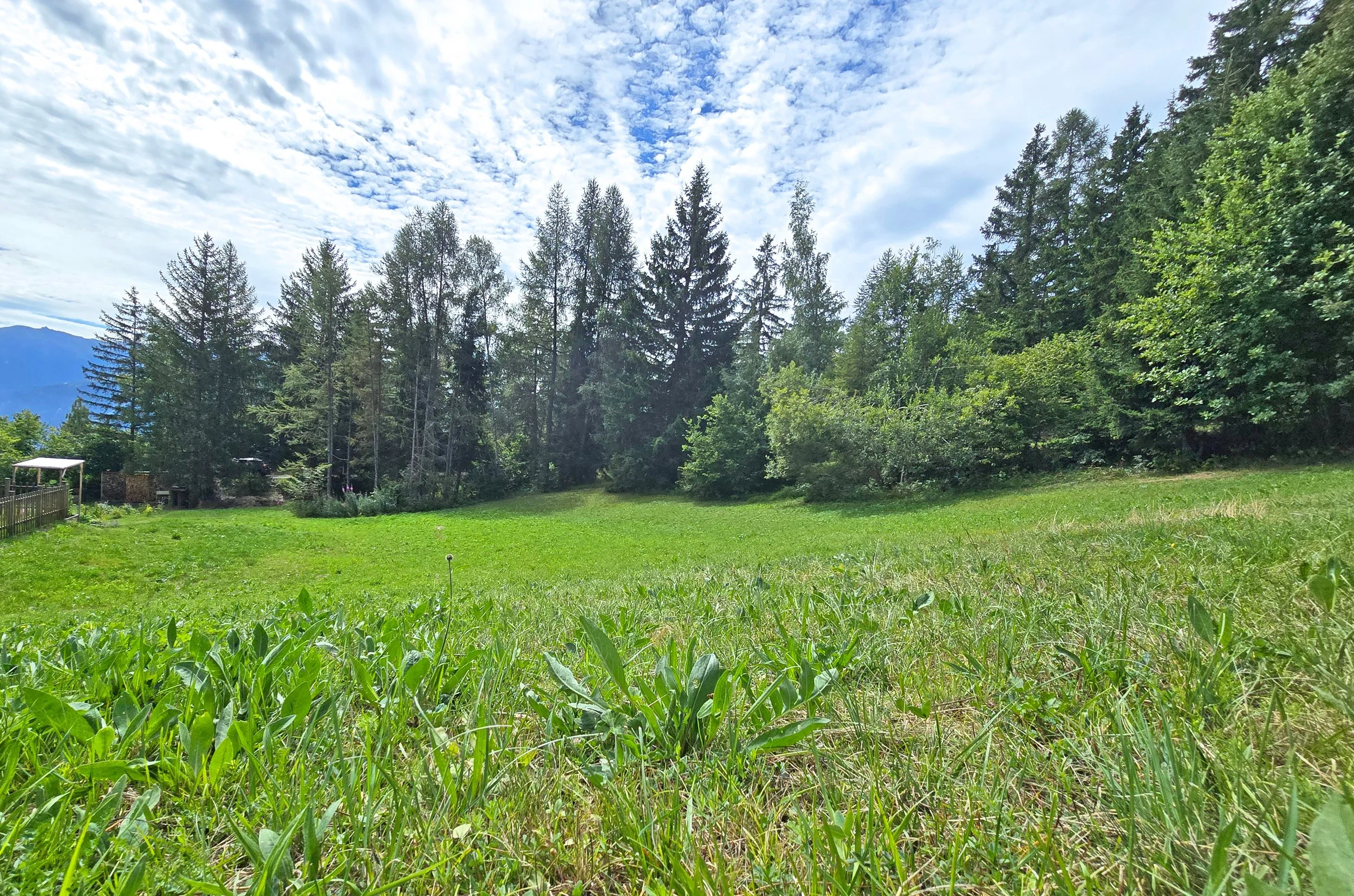 Arbaz, terrain à bâtir