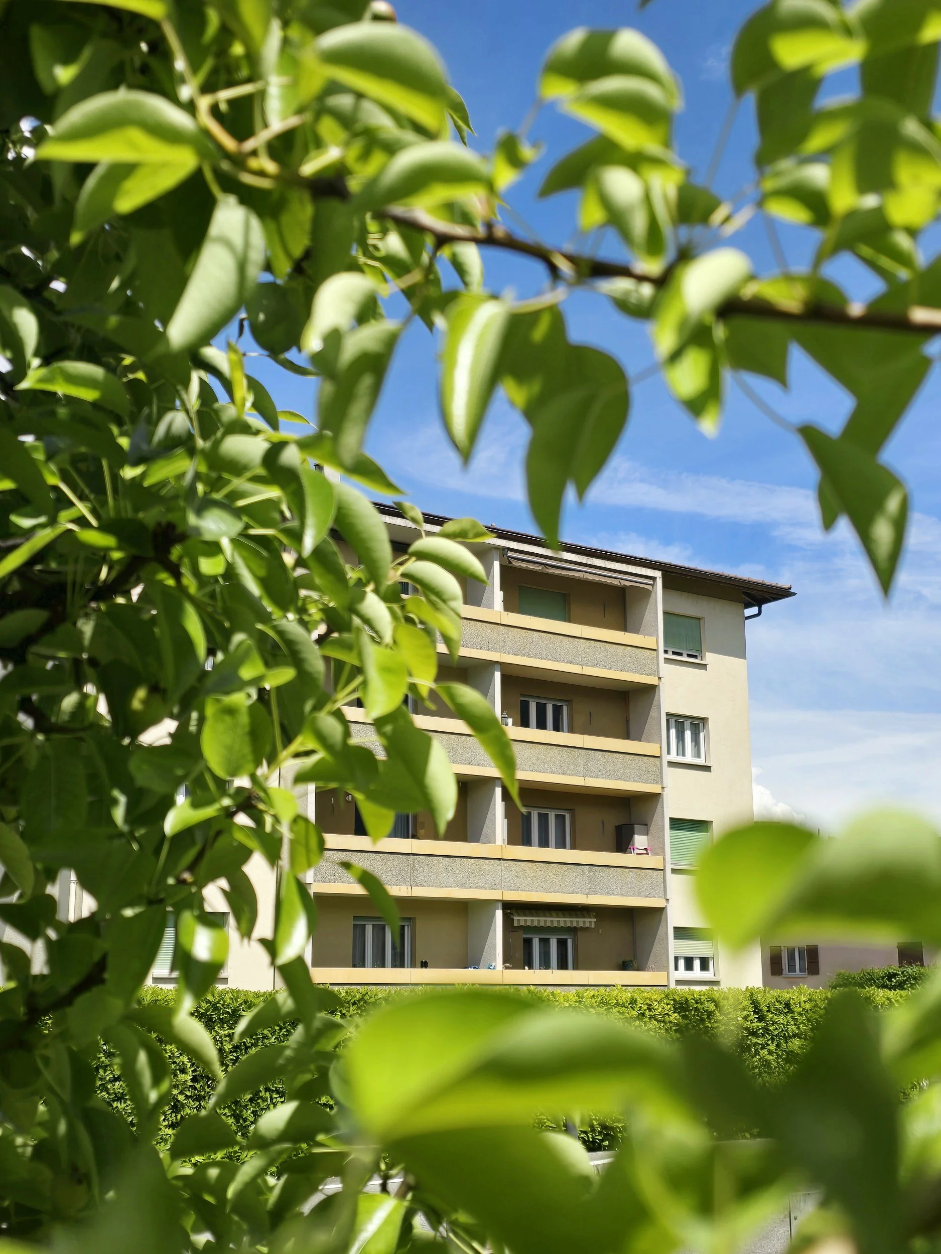 A louer - 4.5 pces au dernier etage