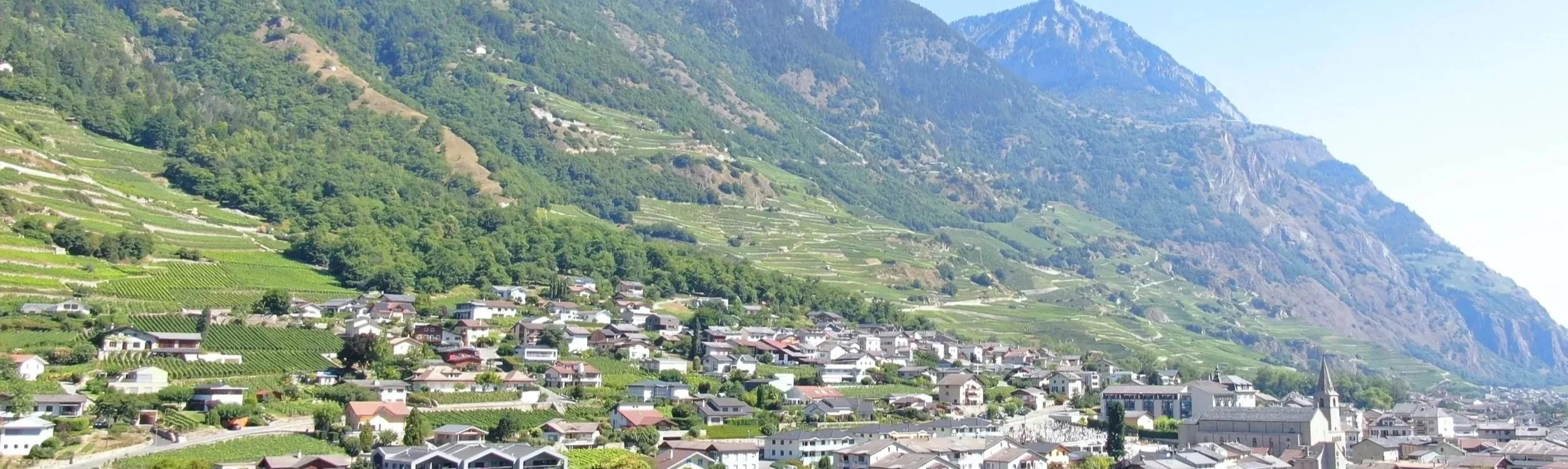 Fully_terrainFontaine03.jpg