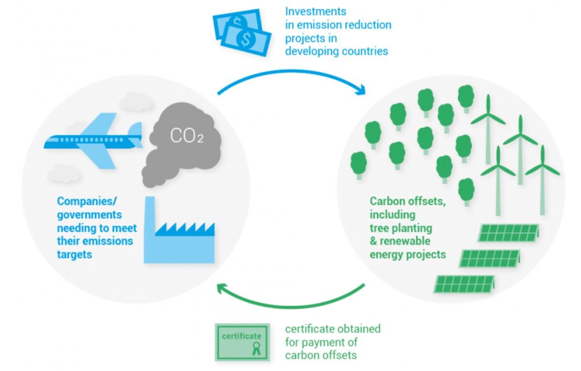 What is carbon offsetting? How does it work? — Hamerkop your climate