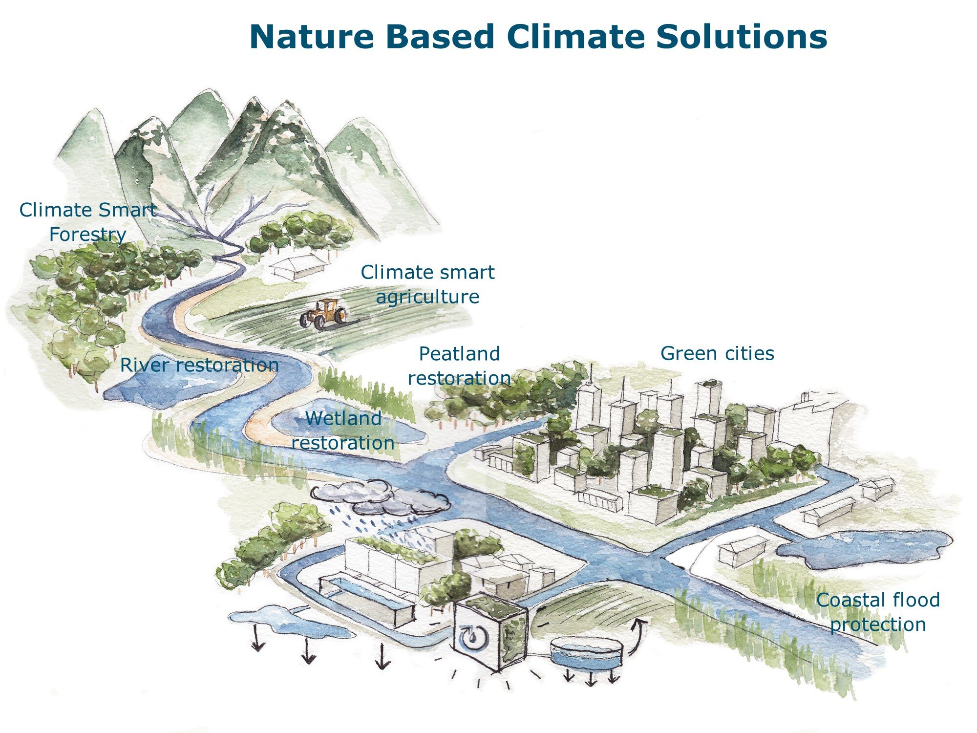 Solutions climatiques basées sur la nature.jpg