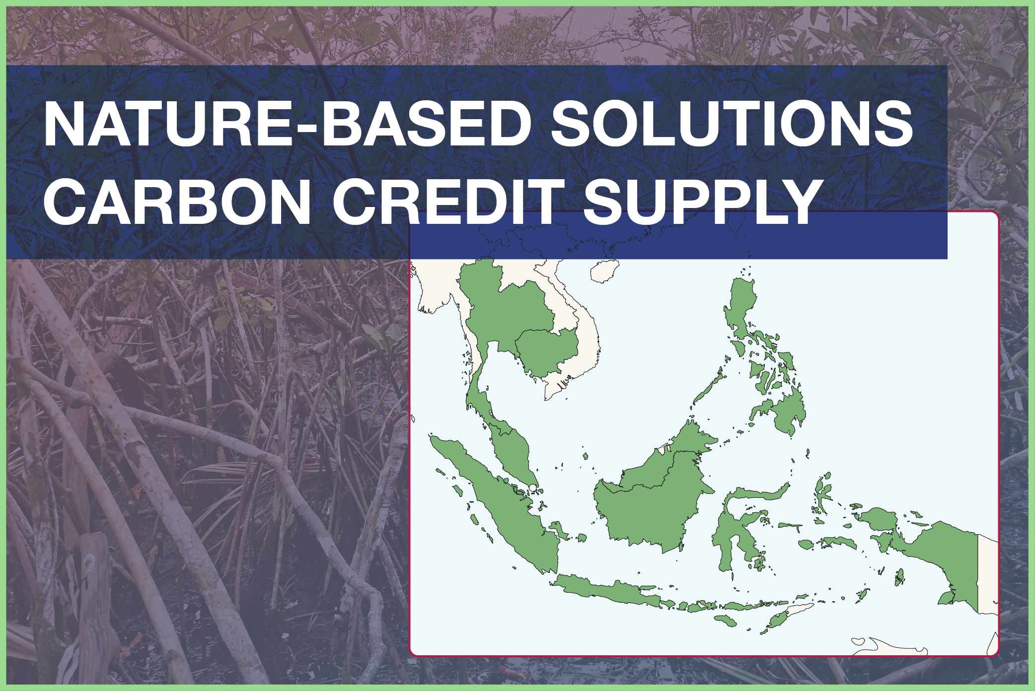 NbS Carbon Credit Supply in Southeast Asia: Market Structure and Trends in 5 Key Countries