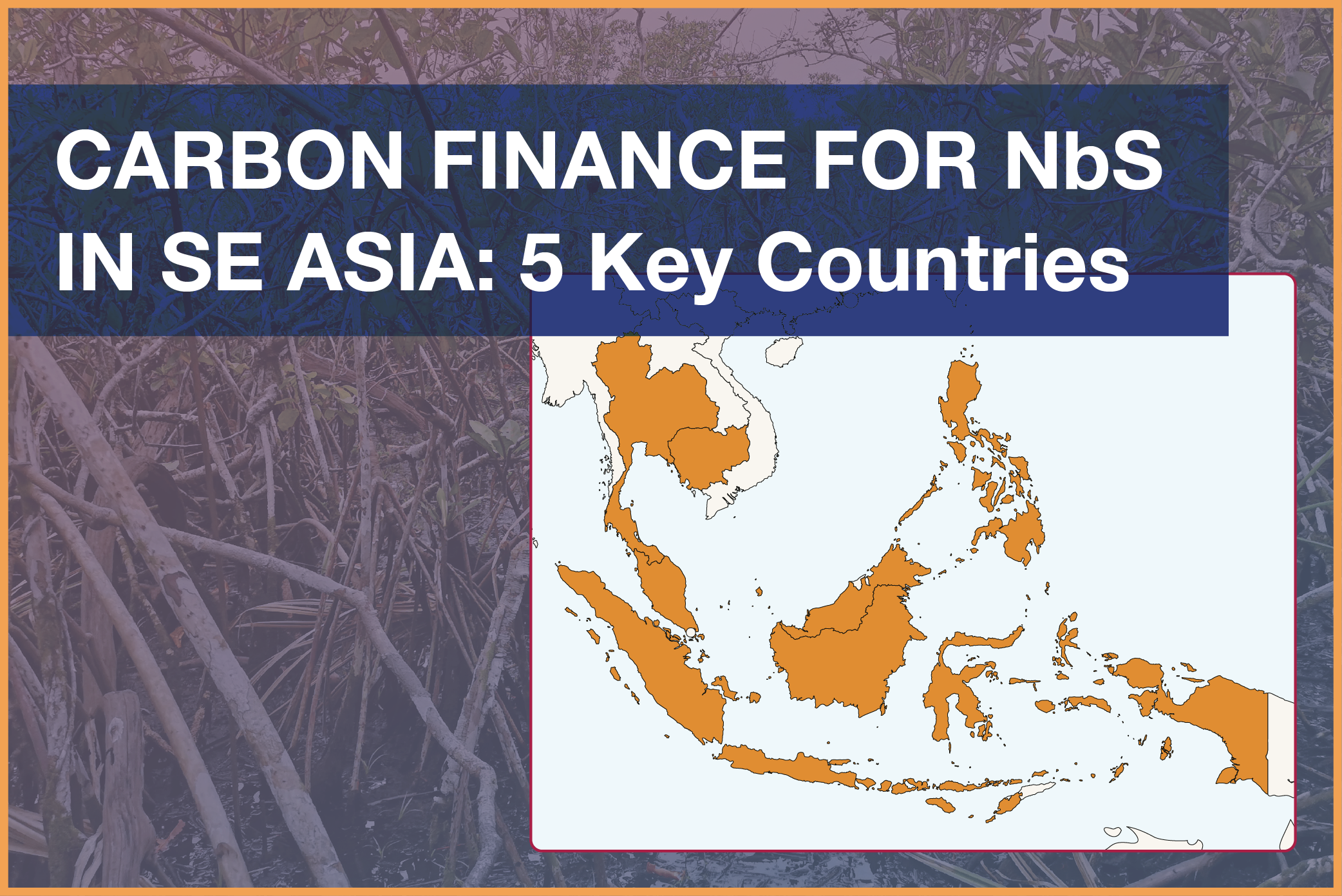 Carbon Finance for NbS in Southeast Asia: Costs and Investment Opportunities in 5 Key Countries