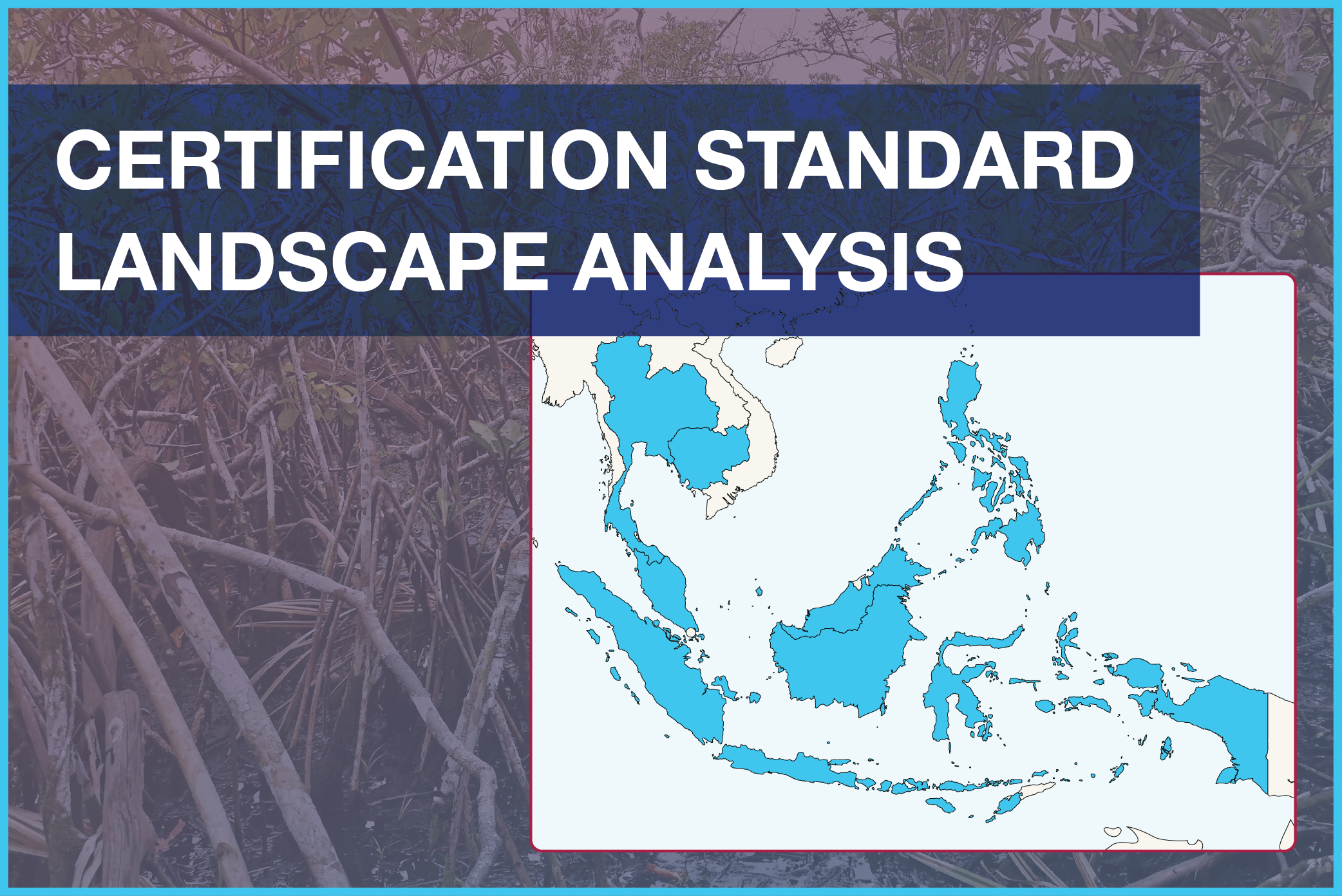 Carbon Certification Standards in Southeast Asia: Landscape Analysis  (2025) 