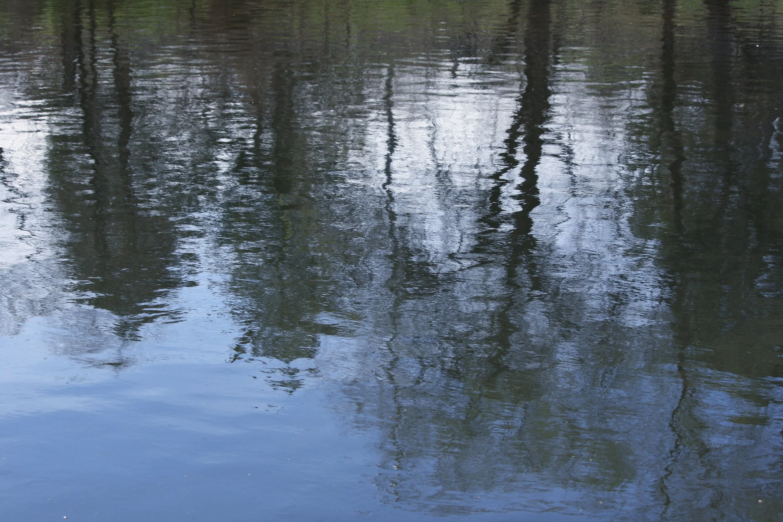 water-reflecting-spring-trees copy.jpg