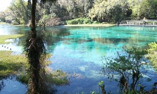 Amazing views from Rainbow Springs State Park.