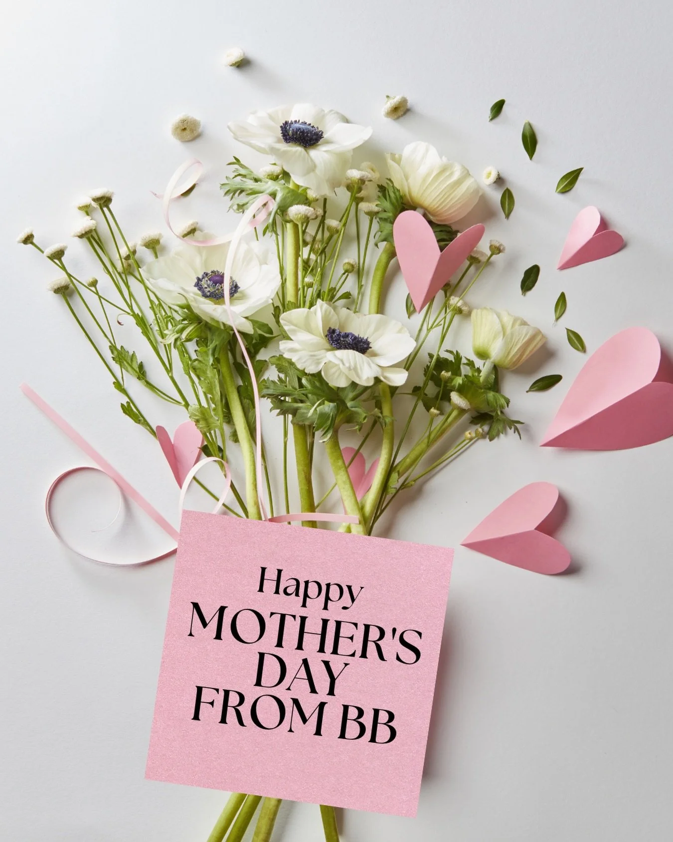 Happy Mother's Day to all the loving, lovely moms in our BB community and everywhere! 
Enjoy your special day💐

#happymothersday❤️