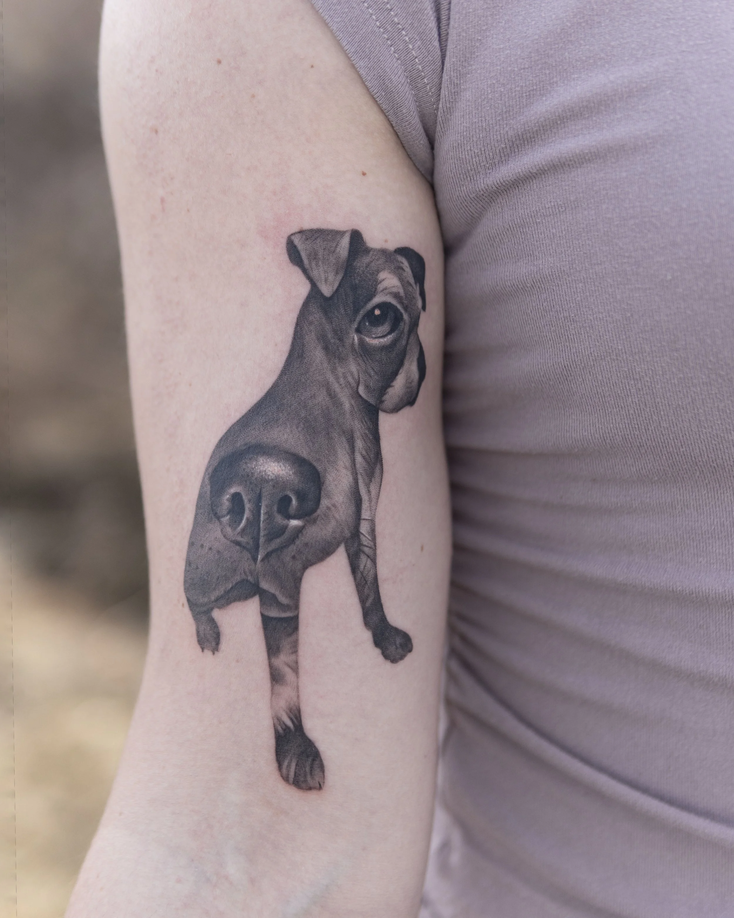 3.13.26 dog portrait 4.15hrs.jpg