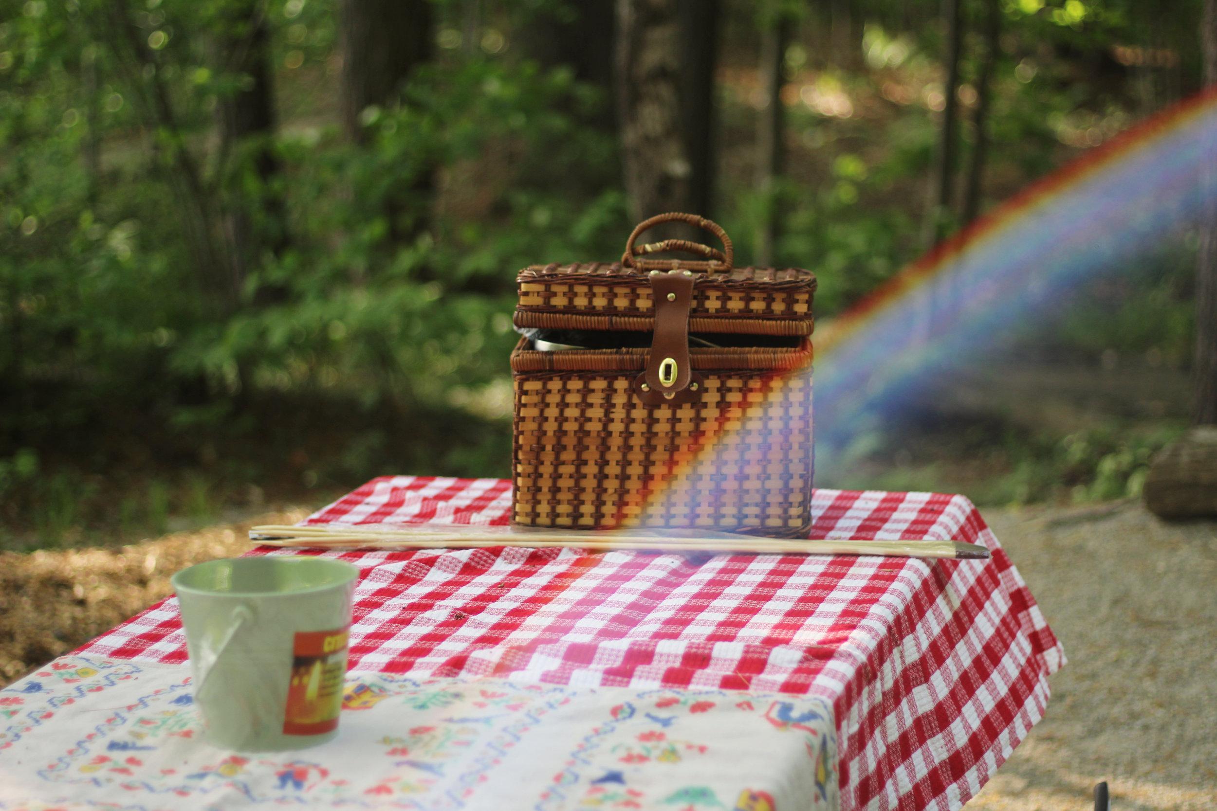 Family Picnic