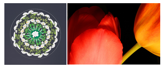 Martha Link Walsh + Gaile Ramey