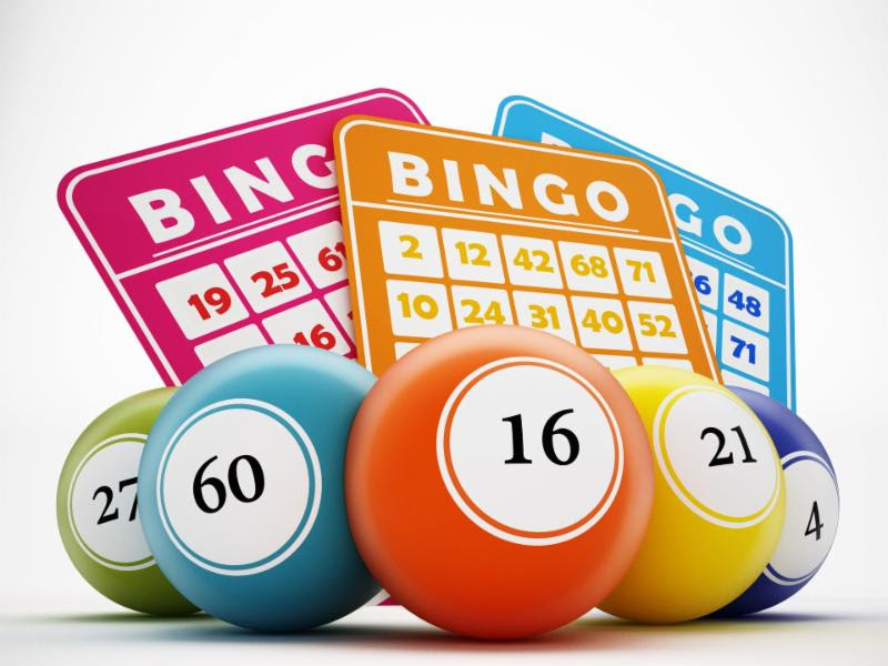 Vacation BINGO — The Willoughby Wallace Memorial Library