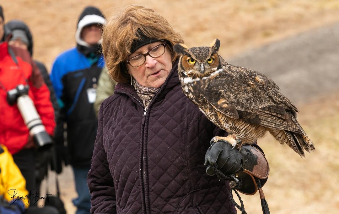 Raptors in Spring: Blue Moon Raptors Program