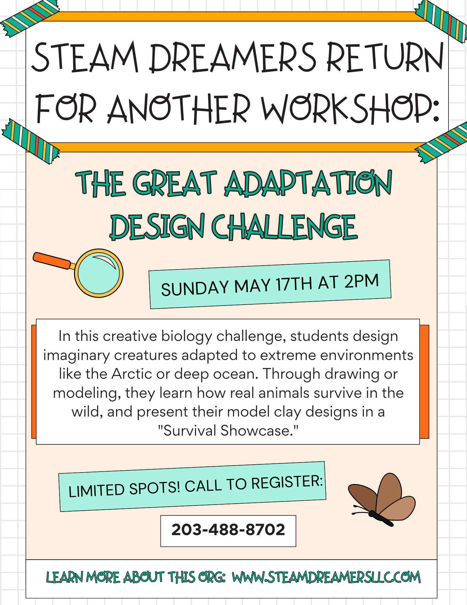 STEAM Program: The Great Adaptation Challenge!