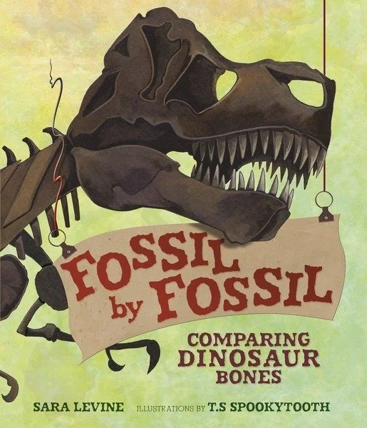 Fossil by Fossil: Comparing Dinosaur Bones Summer Reading Event