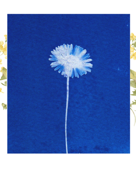 Sunlight Fossil Prints