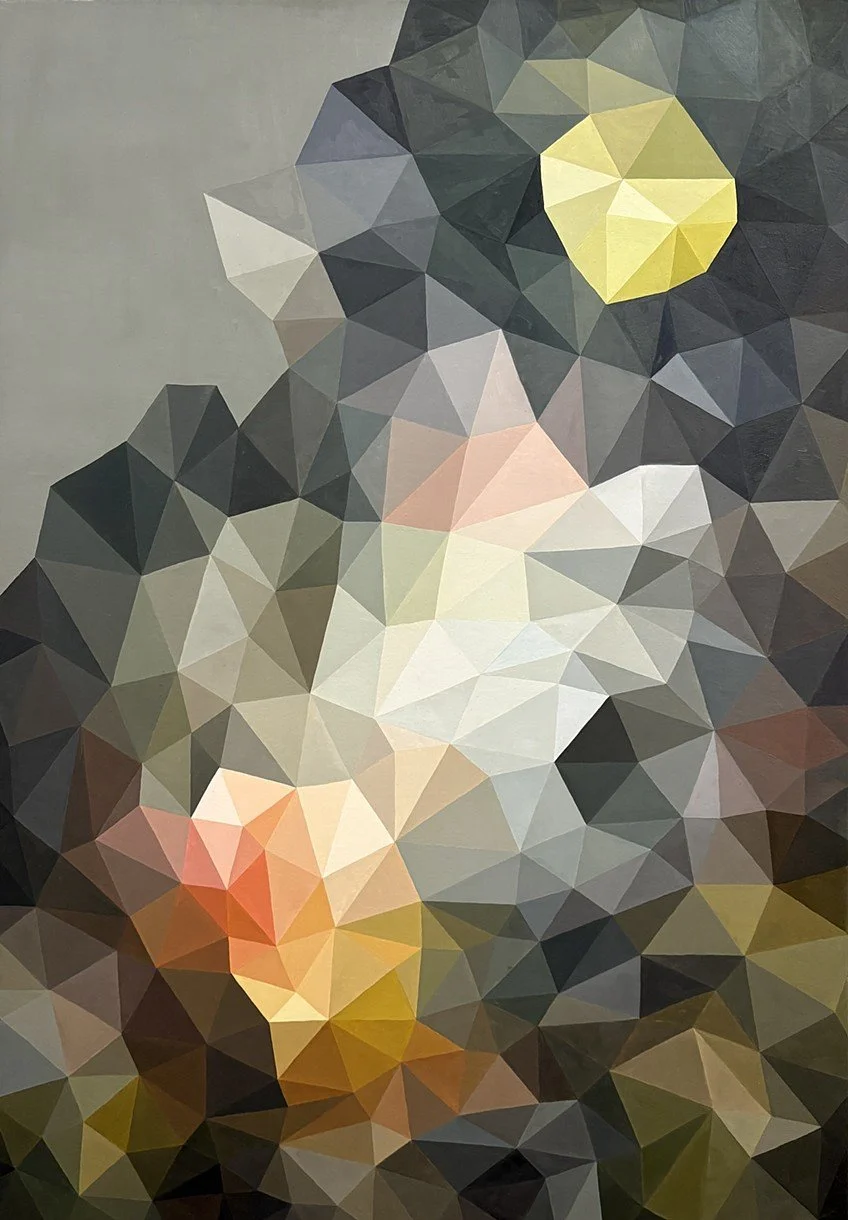 Warner where the light gets in.jpg