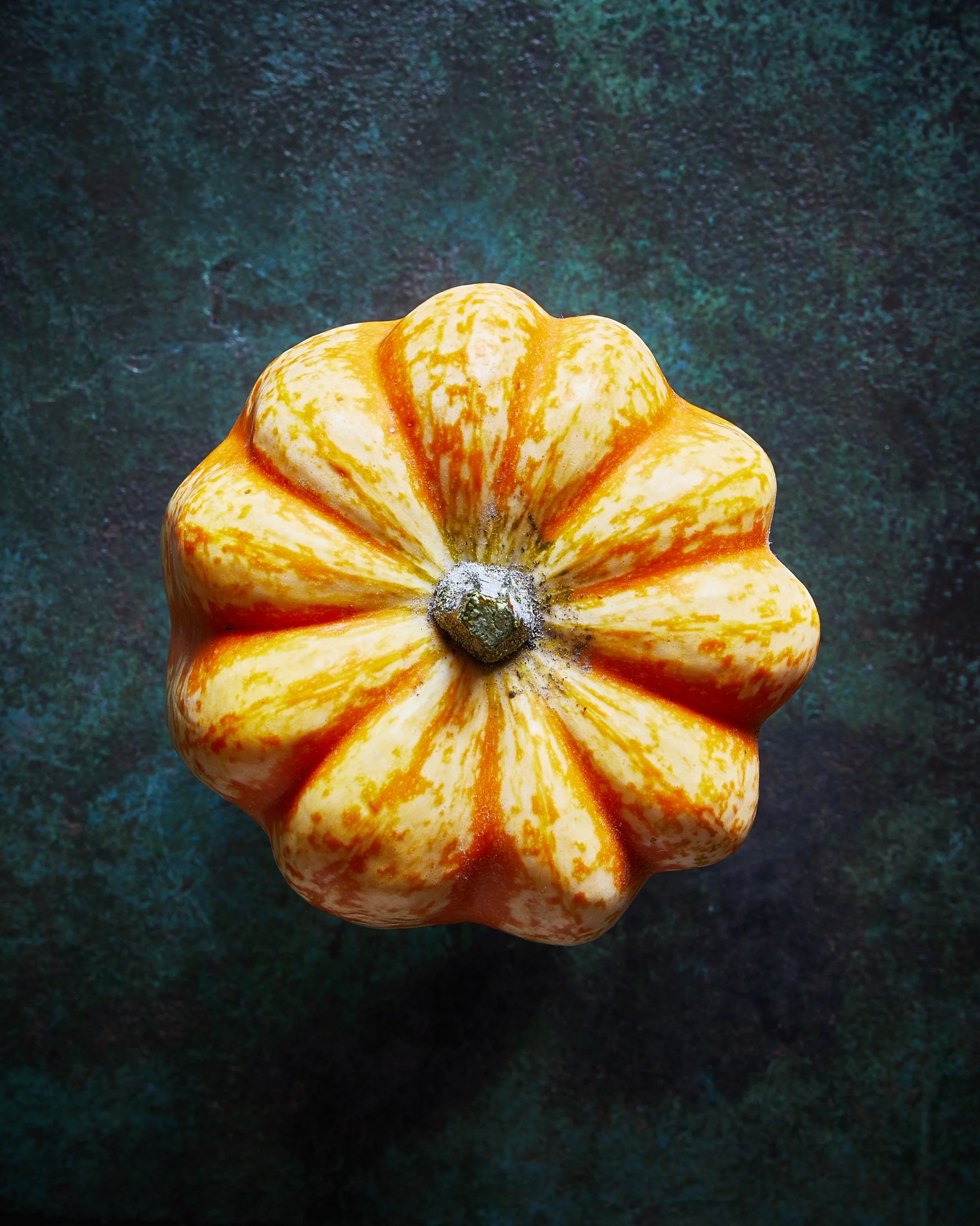 Little acorn squash, Photo Credit: Hannah Hughes