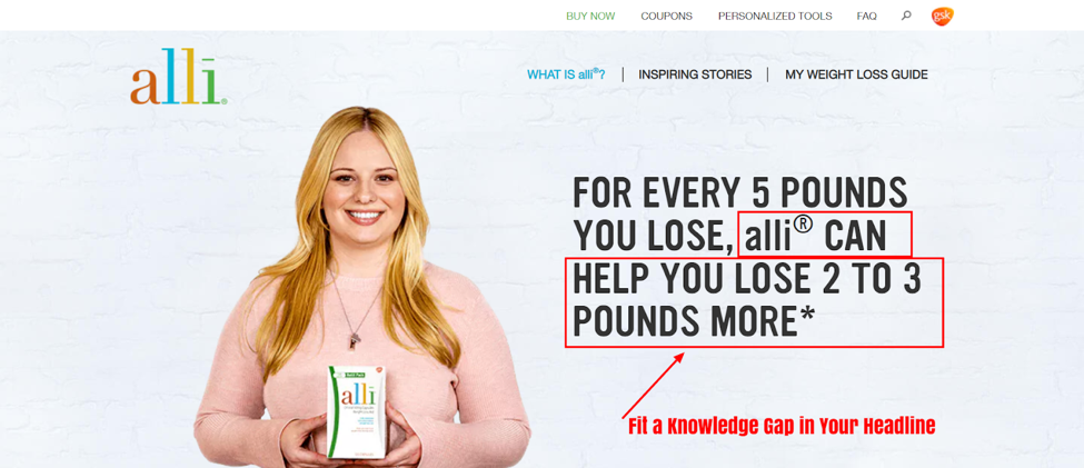best landing page examples.