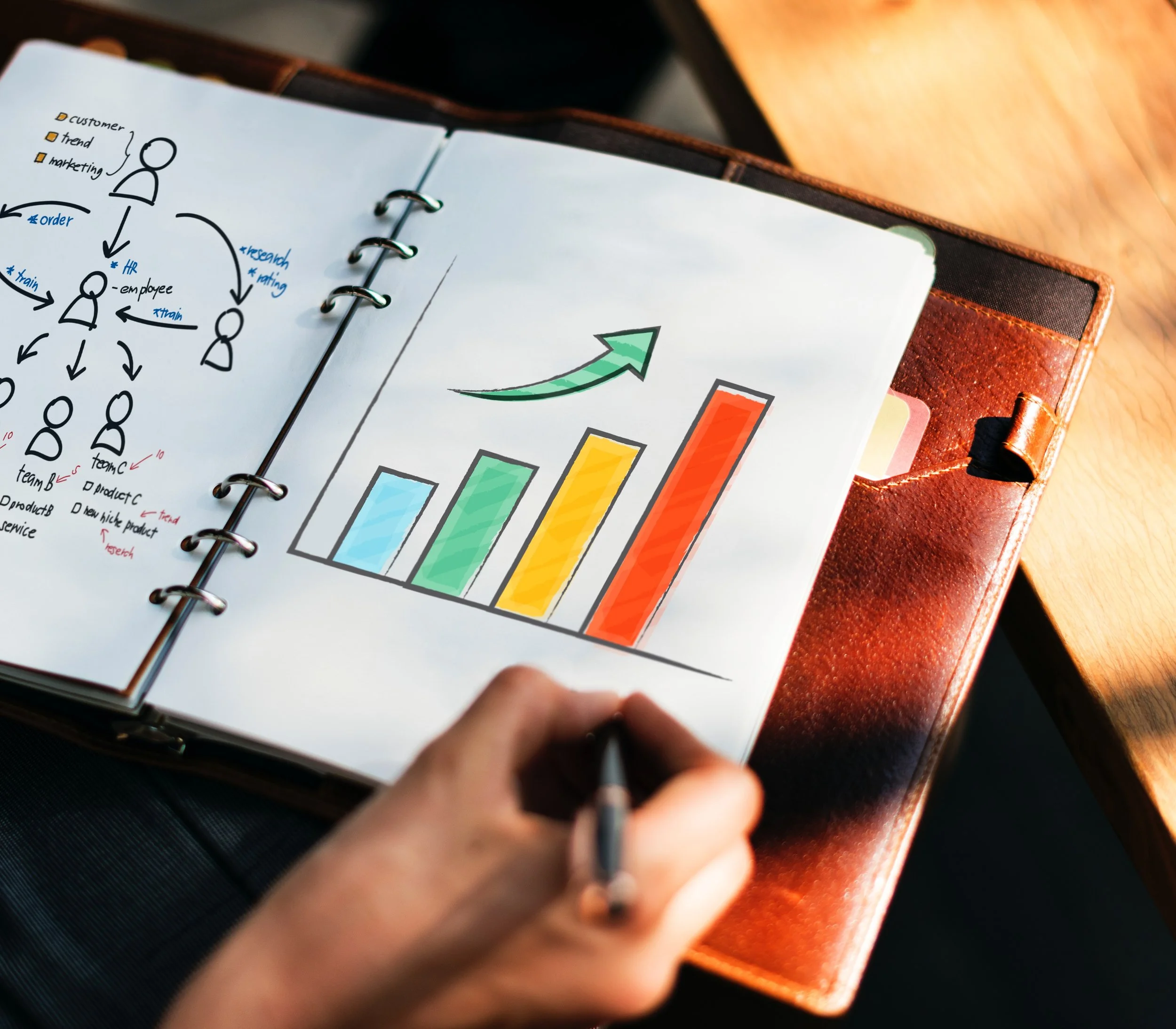 Search engine optimization (SEO Services for business).