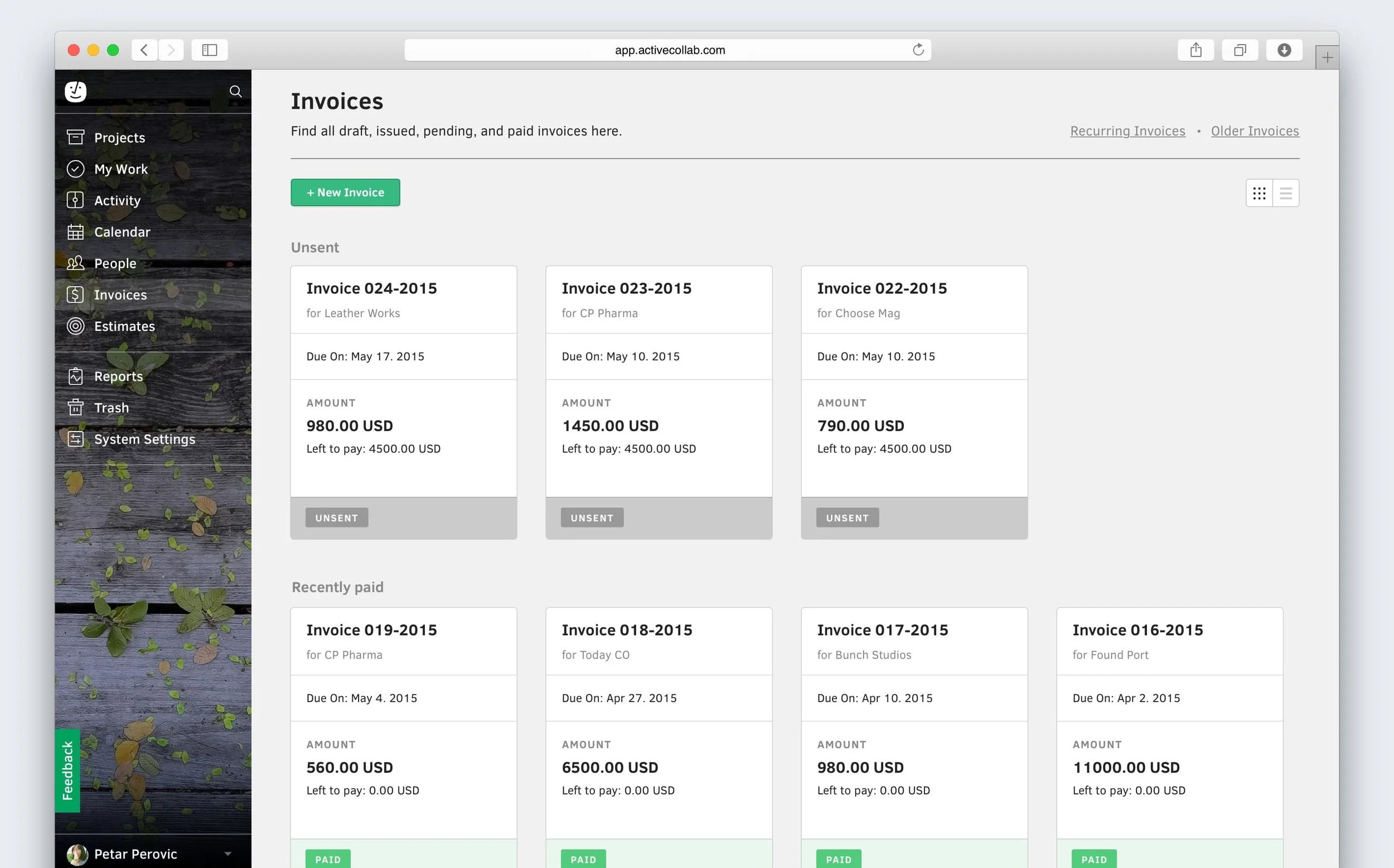Website development Project Management Software Active Colab
