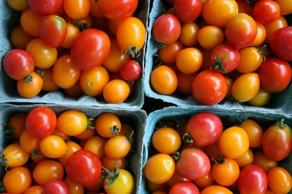 tomatoes.JPG